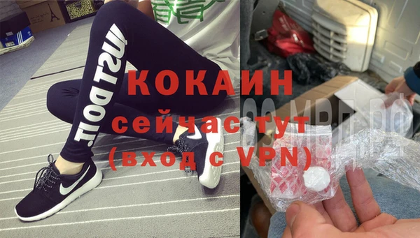 шишки Ижевск