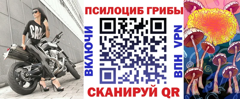 ссылка на мегу ссылка  Сыктывкар  Галлюциногенные грибы Psilocybe  хочу  